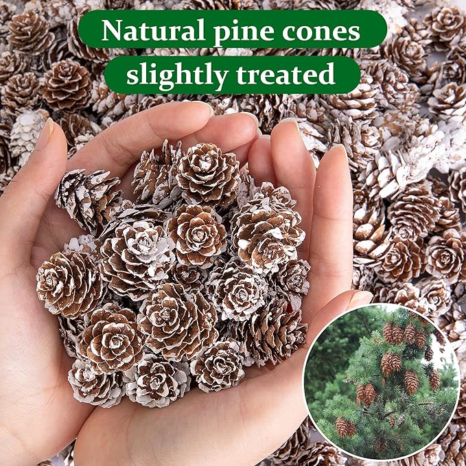 Deloky 150 Pcs Christmas Natural Mini Pine Cones- 1" Small Christmas Snow Pinecones Ornaments- Thanksgiving Mini Snow Pinecones for DIY Crafts Vase Fillers Fall Winter Home Christmas Tree Decor