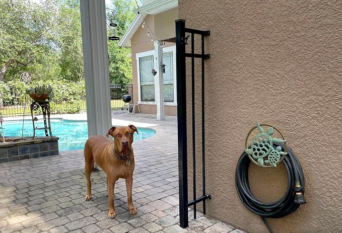 Zeckos Verdigris Bronze Finish Cast Iron Sea Turtle Decorative Wall Mounted Hanging Garden Hose Hanger - 12 Inches Diameter - Ocean-Inspired Hose Holder Décor
