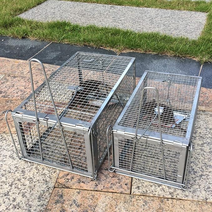 Kensizer Humane Rat Trap, Chipmunk Rodent Trap that Work for Indoor and Outdoor Small Animal - Mouse Voles Hamsters Live Cage Catch and Release 1-Pack Small 10.5" L x 5.5" W x 4.5" H