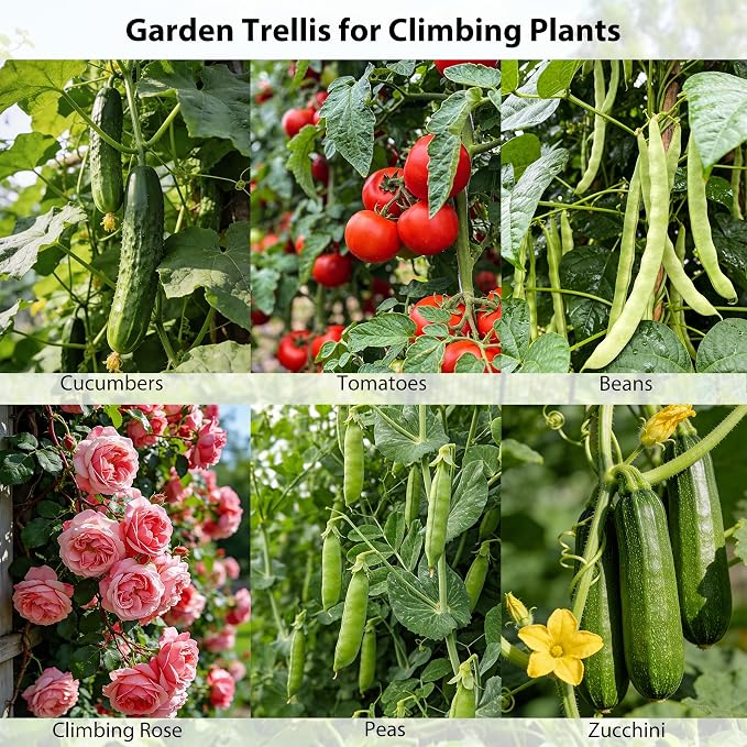 Miory Cucumber Trellis, 63" Tall U Shape Trellis for Raised Bed, Garden Arch Trellis for Climbing Plants Outdoor, Plant Support for Vegetables Vines, Steel with PE Coated (48“Lx32”Wx63“H)
