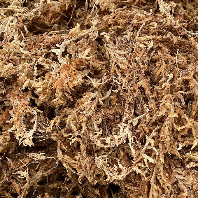 Better-Gro Sphagnum Moss - 100% Natural, Long-Fiber Moss for Orchids, Ferns, and Hostas, Excellent for Hanging Baskets and Propagating Plants - 240 Cubic Inches (Pack of 12)