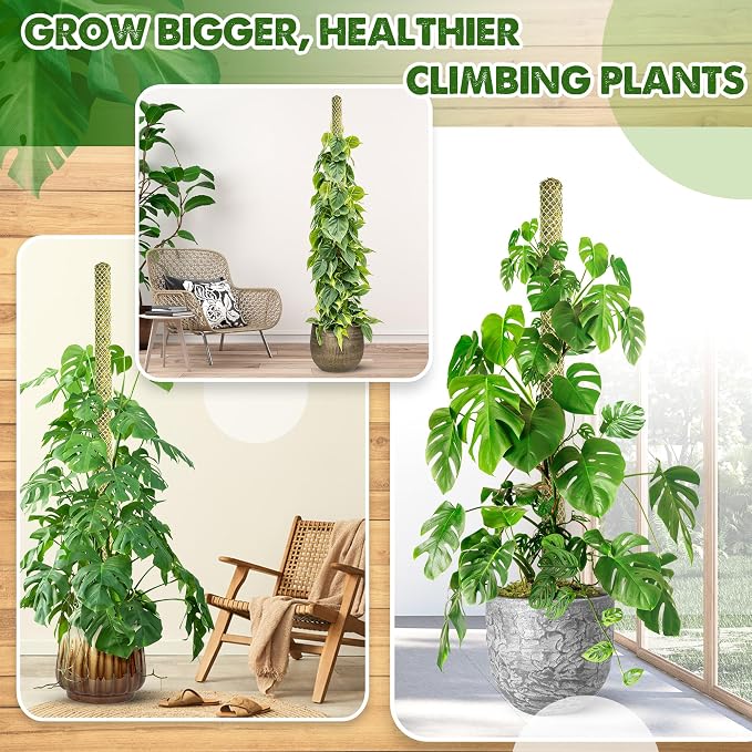 DUSPRO 4 Pack 22" White Stackable Mesh Moss Pole for Plants – Extendable Up to 71", Natural Forest Moss Pole Monstera Plant Support, Moss Stick for Climbing Plants, Indoor Plant Stakes Accessories