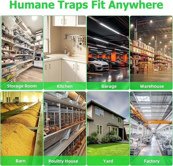 Humane Rat Traps 2-Pack, No Kill Small Animal Cage Trap, Live Mouse Trap Cage Catch and Release, Trampa para Ratones, Chipmunk Rodent Trap that Work for Indoor and Outdoor - 10.6" L x 5.5" W x 4.7" H