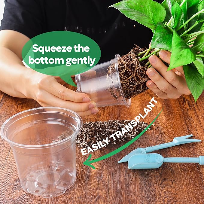 Bluepro 30 Packs 5 Inch Reinforced Clear Nursery Pots with Drainage Holes, Transparent Plastic Plant Pot Seedling Planter for Vegetable Propagation, Root Cutting, Seed Starting