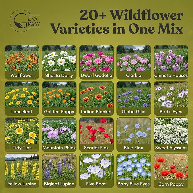 Geva Grow Northwest Wildflower Seeds Regional Mix - Organic, Non-GMO - 100% Pure Seed - 20 Different Wildflowers Seeds of Annual and Perennial, 1 LB Tub