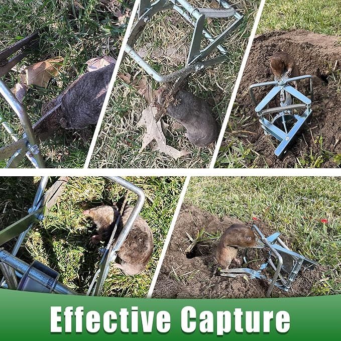 2 Pack Mole Traps that Kill Best, Vole Traps Outdoor Use Scissor for Lawns, Mole Trap Easy to Set Galvanized Steel Reusable Quick Capture Gopher