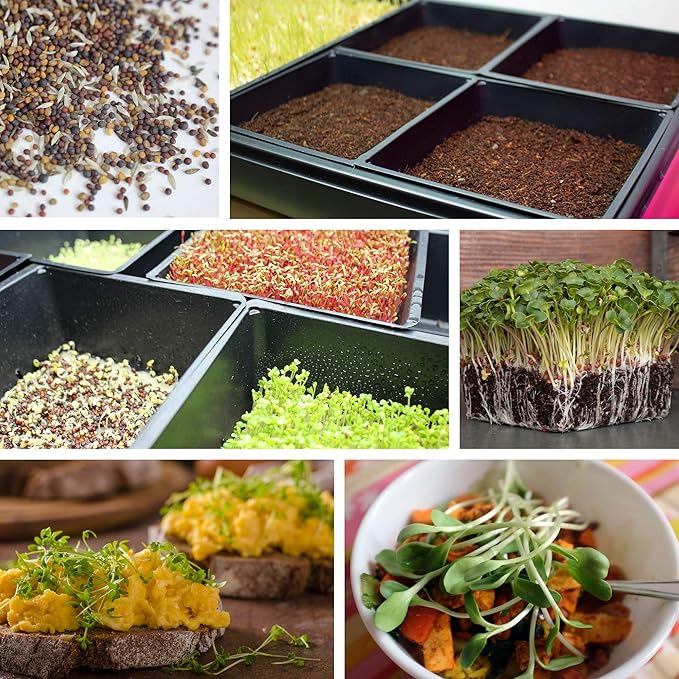 Handy Pantry 100-Pack 1020 Garden Growing Trays Without Drain Holes | 10 x 20 Plastic Plant Trays No Holes for Wheatgrass, Microgreens, Hydroponics, Nursery Flats and Greenhouse Growing