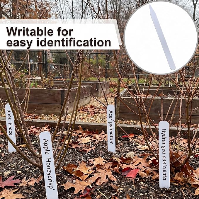 Weysat 100 Pcs 12" Wood Plant Labels for Field or Containers Plant Tags Wood Garden Labels for Seedling Stakes Markers Nursery Seed Tags with Smooth Surface for Pot Herbs Flowers Vegetables