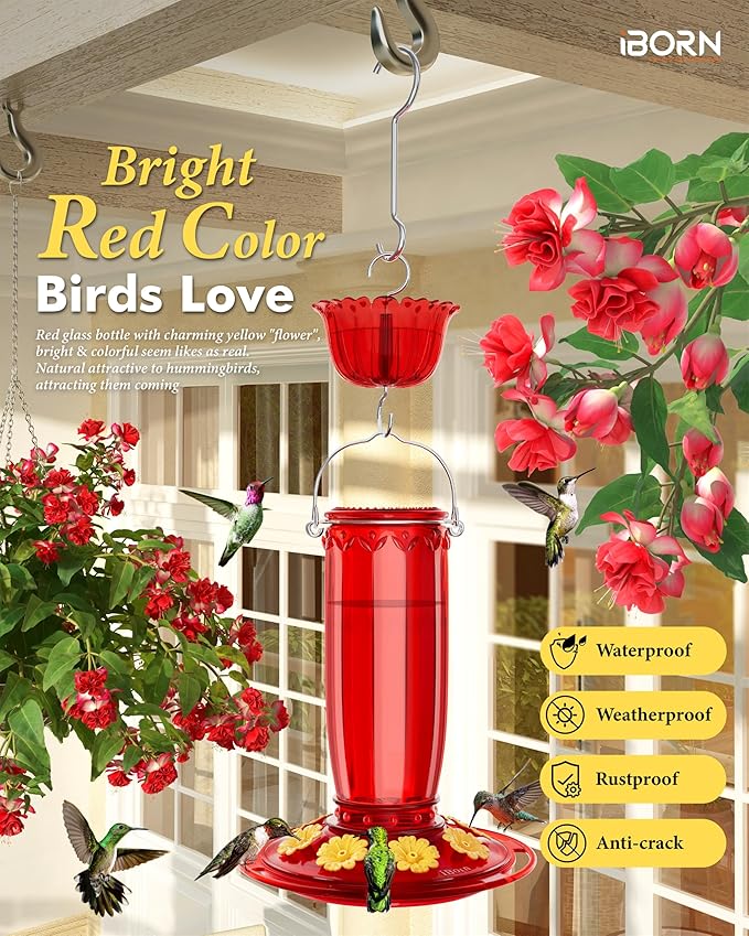 iBorn 16oz Glass Hummingbird Feeders for Outdoors Hanging with Ant Moat&28 Inch Fence Deck Hook Rail Heavy Duty Hummingbird Feeder Hanger,Solid Wire, 180 Degree Rotary, 1 Pack