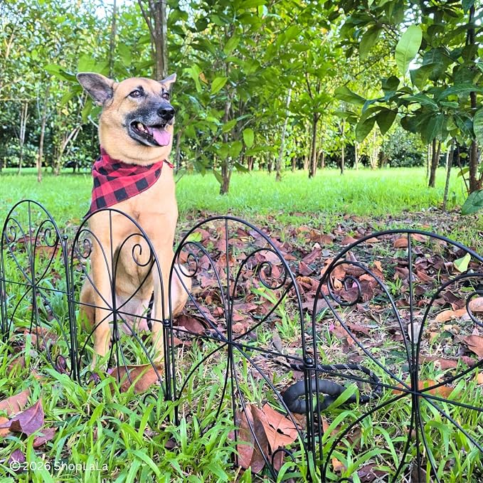 ShopLaLa Decorative Garden Fence (20 Panels) 12.5in(L) x 16.5in(H) Rustproof Black Metal Wire, Animal Barrier Fences for Dogs, Flower Bed Edging Landscape Border Yard Patio Butterfly Outdoor Decor