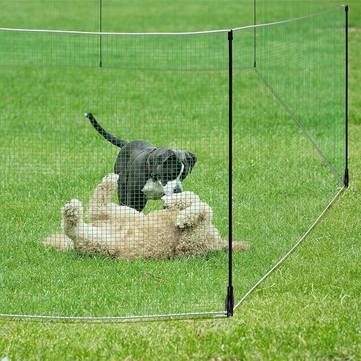 Temporary Fence with Posts 4' x 65' Suitable for Backyard, Garden | Boundary Chicken Fence with Double Spiked Fiberglass Posts & Windbreak Rope, Portable Non Electric Fence Netting