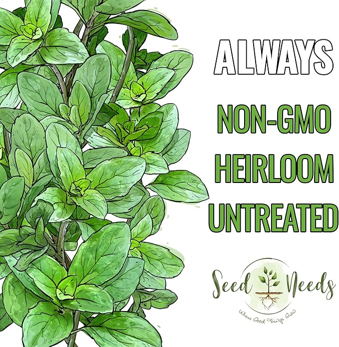 Seed Needs Sweet Basil & Italian Oregano Seeds for Planting Fresh Kitchen Herbs - Non-GMO Heirloom & Untreated Perennial & Annual Herb Seed to Plant a Culinary Garden Indoors or Outdoors (2 Pack Duo)
