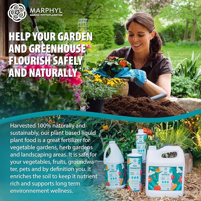 MARPHYL Plant Fertilizer Houseplants and Garden - Marine Phytoplankton Soil Improver and Hydroponic Fertilizer for Grasses, Bamboo, Succulents, & Vegetables - Organic Plant Liquid (Pack of 2)