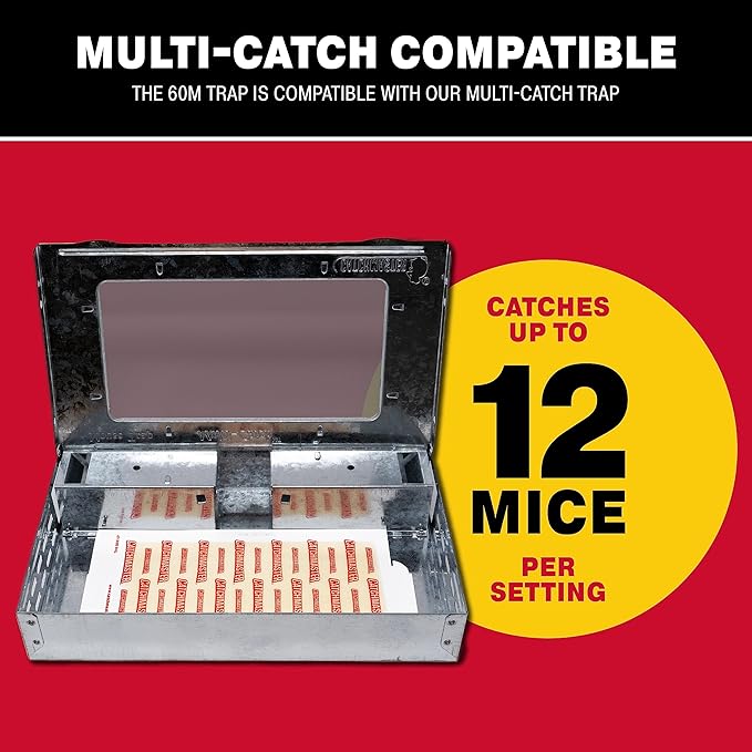 Catchmaster Pro Strength Mouse & Insect Glue Board Set, 60pk & Cricket XL Giant Glue Boards 6pk, Mouse Traps Indoor for Home, Pet Safe House Pest Control