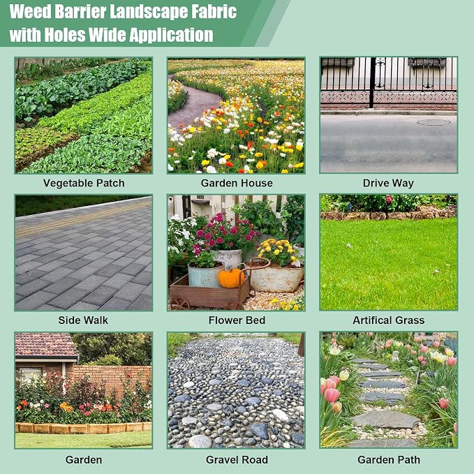 33 x 3.3 Ft Weed Barrier Landscape Fabric, Garden Weed Barrier Fabric Heavy Duty with Planting Holes, Ground Cover Weed Barrier Weed Cloth with 10 U-Shaped Ground Nail For Garden Weed Control