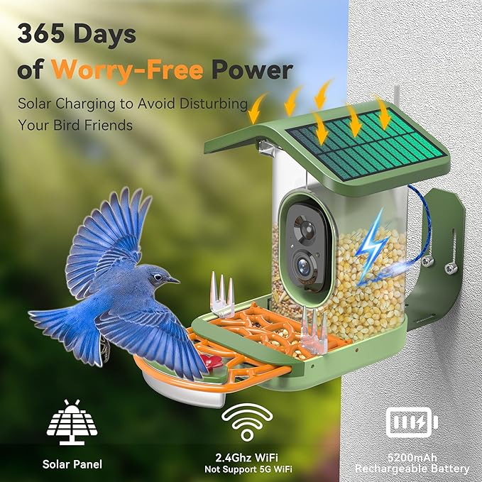 Rayki Solar Smart Bird Feeder with Camera, 2K HD Live Video with AI Identify Bird Species, Real-Time Motion Detection, Outdoor Watching Birdhouse