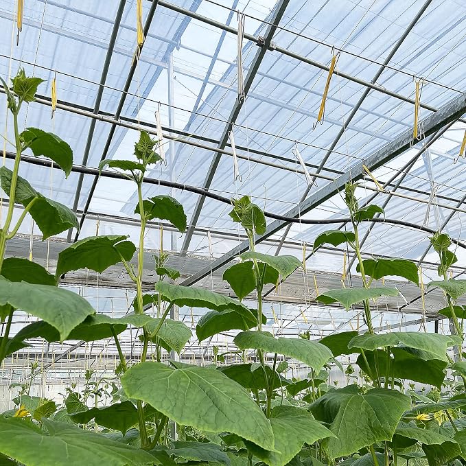 Bandelt 20pcs Tomato Support J Hooks, Tomato Climbing Hooks with 39ft Twine to Prevent Tomatoes from Pinching or Falling Off for Plant Vegetable Plant Fruit Flower