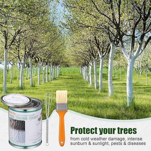 Kathfly Tree Paint Kit Tree Whitewash Trees Trunk Protection with Tinplate Containers, Whisk, Brush for Fruit Nut Ornamental Trees, Saplings, Garden, Yard, Orchard, Easy to Mix & Apply