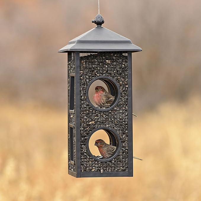 Perky-Pet Fly-Thru Wild Bird Feeder - 2 lb Capacity for Black-Oil Sunflower Seeds - Wild Bird Feeder for Outdoors - Outdoor Decor - B00303