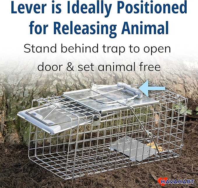 Havahart Easy-Set Catch and Release Small 1-Door Humane Live Animal Trap for Squirrels, Rabbits, Skunks, and Other Small Animals - 1083