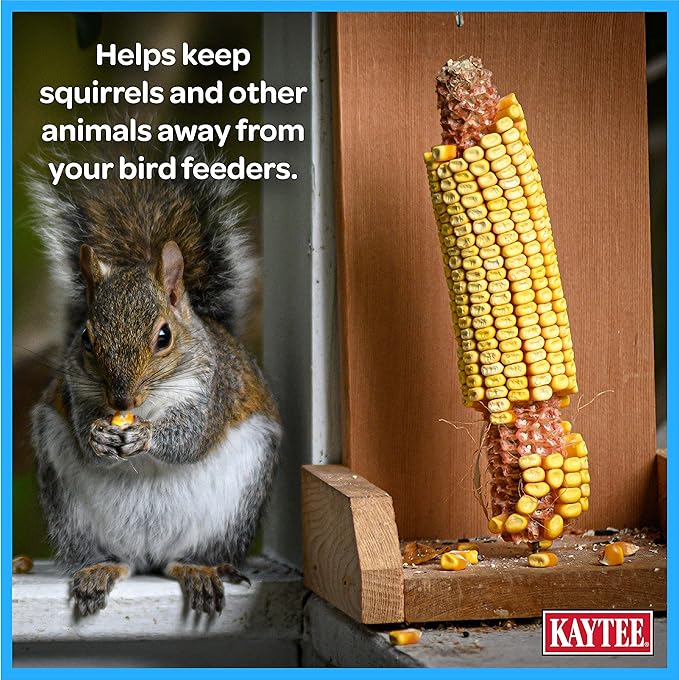 Kaytee Corn On The Cob Food for Wild Squirrels, Rabbits, Chipmunks and Other Backyard Wildlife, 6.5 Pound (Pack of 2)