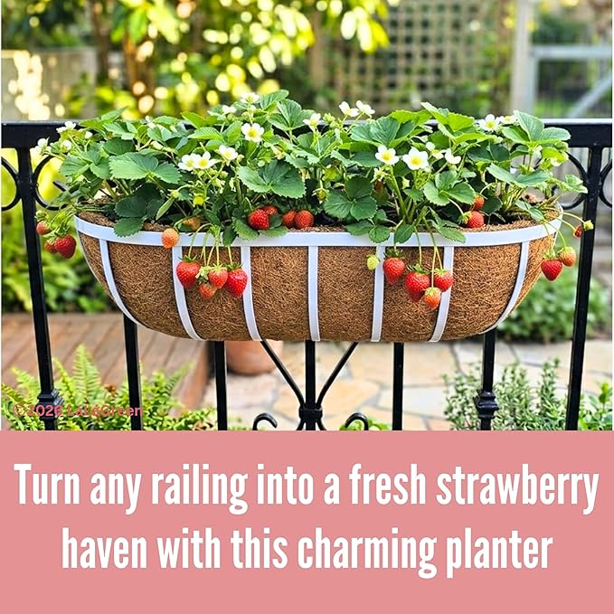LaLaGreen Deck Railing Planter Boxes (2 Pack, 36") White Metal Extra Large Wall Hanging Planter with Coco Liner, Rectangular Window Flower Box for Outdoor Plants Deck Rail Fence Balcony Porch Patio