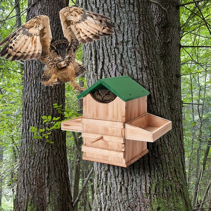 Screech Owl House with Feeder, Owl Box with Bird Stand Design, Nesting Box Wood with Mounting Screws, Cozy House for Lovely Birds, Easy Assembly Required