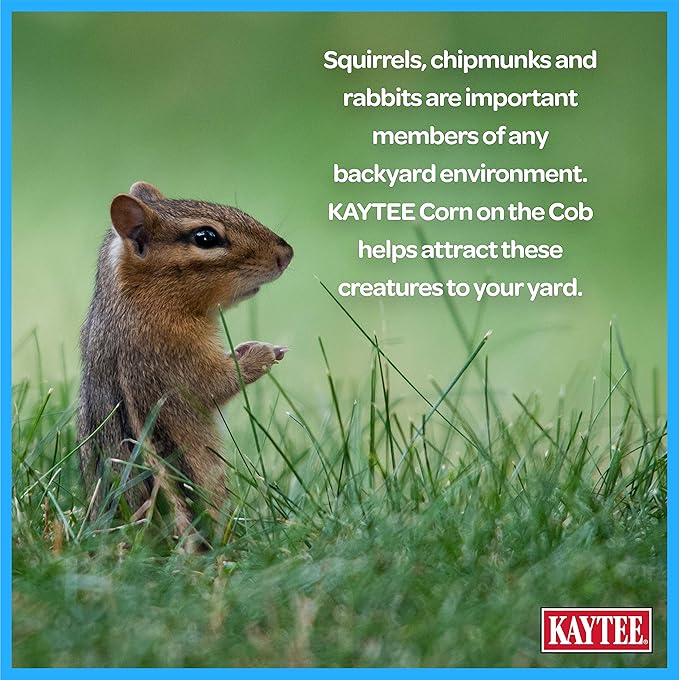 Kaytee Corn On The Cob Food for Wild Squirrels, Rabbits, Chipmunks and Other Backyard Wildlife, 6.5 Pound (Pack of 2)
