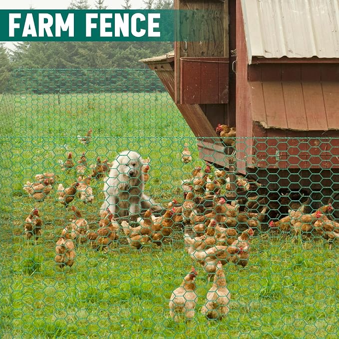GlikCeil 36 in x 200 ft Chicken Wire Fencing Metal Floral Chicken Wire Mesh for Crafts Poultry Garden, 1 Inch Hexagonal Galvanized Hardware Netting for Poultry Coop Barrier Rabbit Cage (Green)