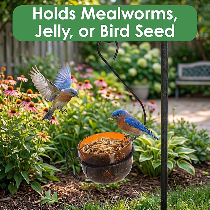 Oriole Jelly Feeder - Sparkling Orange Glass Bowl with Decorative Hanging Hook - Removable Cup for Easy Cleaning - Outdoor Baltimore Oriole Feeder for Grape Jelly, Fruit & Nectar