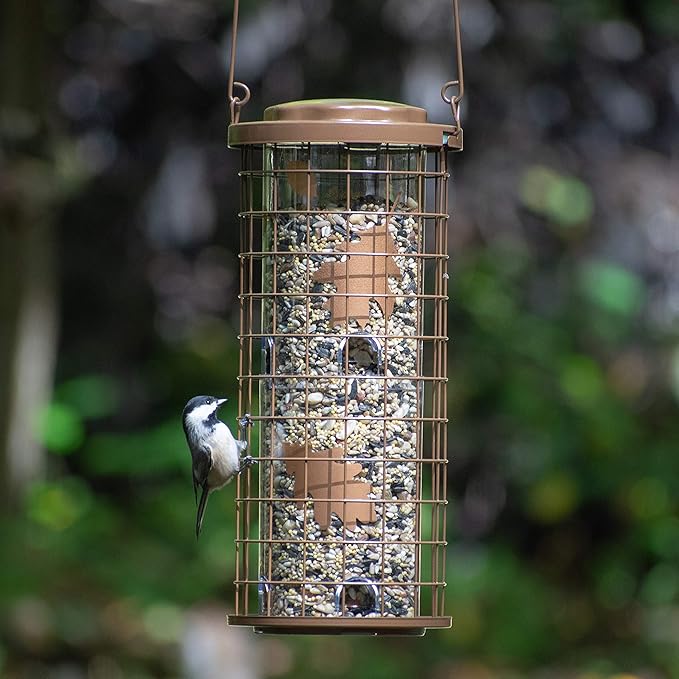 Perky-Pet Squirrel Stumper Wild Bird Feeder - Keep Squirrels Out - 8 Feeding Ports for Wild Birds - 3 lb Wild Bird Seed Capacity - 114B, Copper - Decor for Outdoors
