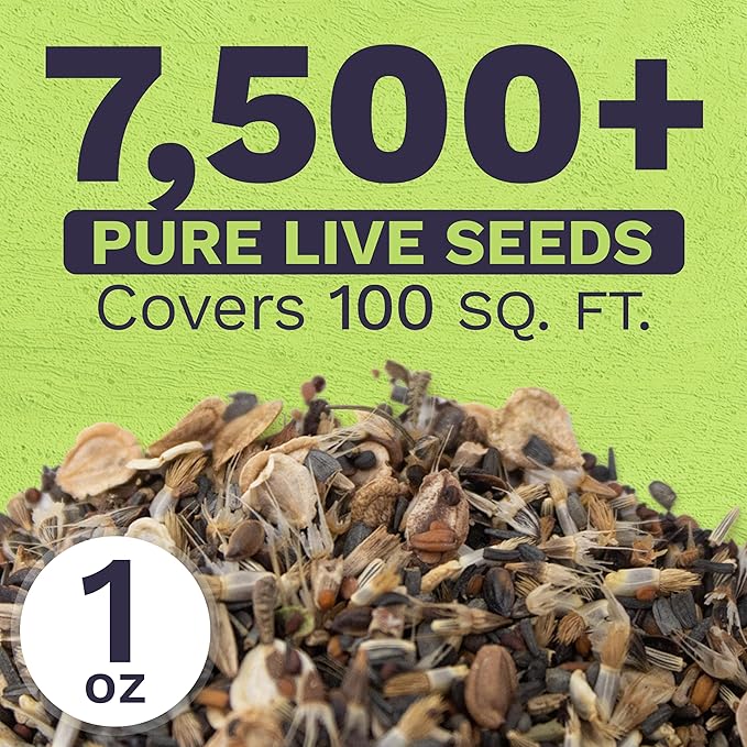 Drought Tolerant Wildflowers Mix – Extra Large Packet – Over 7,500 Open Pollinated Non-GMO Seeds – 21 Different Dryland Species