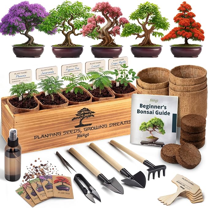 AVERGO Bonsai Tree Kit Deluxe - 5X Unique Japanese Bonzai Trees | Complete Indoor Bonsai Starter Kits for Growing Trees – DIY Gardening Gifts for Mother, Women & Men