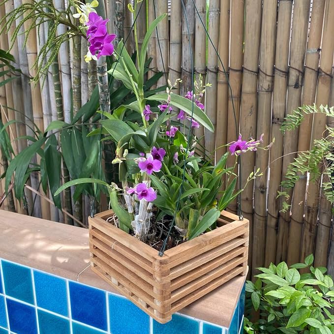 Set of 3 Strong Teak Wood Orchid Baskets for Outdoors with Hangers, 1 is 10 Inches Wide, 1 is 8 Inches, 1 is 6 Inches, for Orchids, Staghorn Ferns, Orchid Gifts