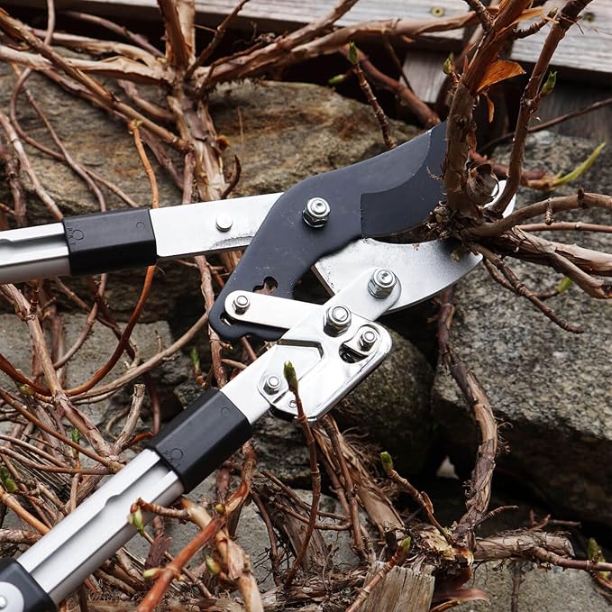 Tree Trimmer Loppers - Double Ratcheting Anvil Lopper - Extendable 26" - 40" Long Handles - Loppers for Tree Trimming Heavy Duty by Kings County Tools