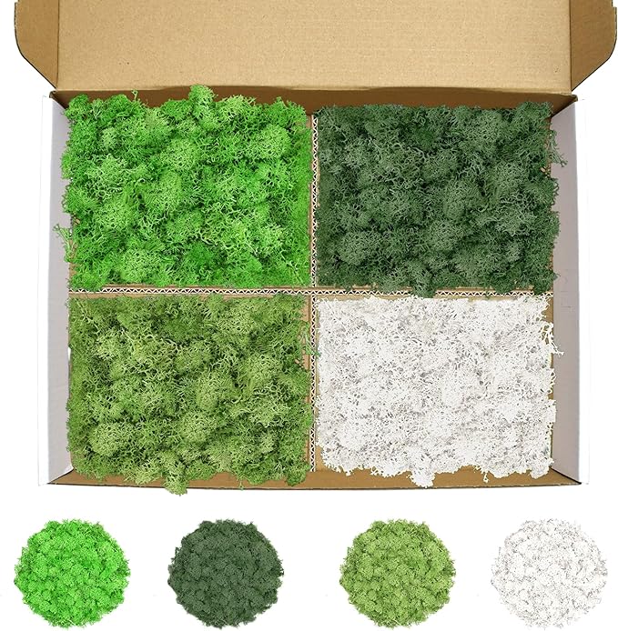 Preserved Reindeer Moss 14 OZ 4 Colors for DIY Gift, Potted Plants,Craft Wall Art,Festive Home Decorative Christmas(Green, Dark Green, Chartreuse and White, Each Color 3.5 OZ)