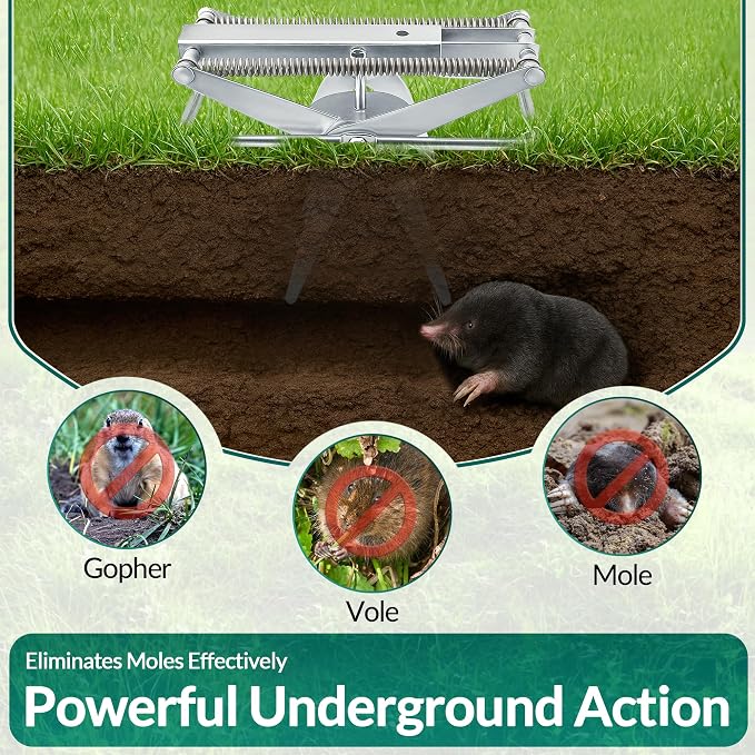 2 PCs Mole Traps Scissors, Reusable Silver Galvanized Steel Scissor Trap for Outdoor Lawn Use & Garden, Easy to Use Design Ensures Quick Capture of Moles Gophers