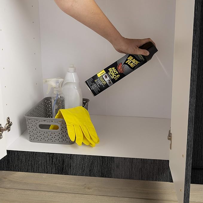 Black Flag Ant and Roach Killer 17.5 Ounces, Aerosol Spray, Lemon Scent