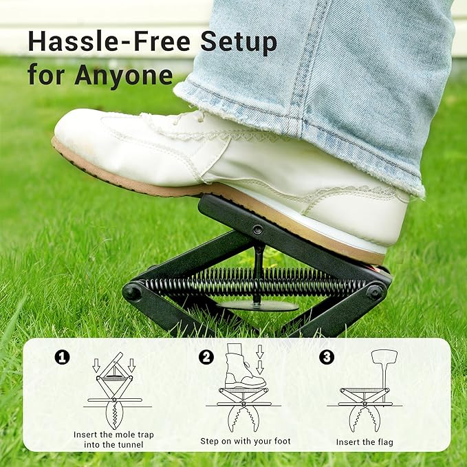 Mole Traps that Kill Best, 2 Pack Scissor Mole Trap, Sleek Black Stainless Steel Finish