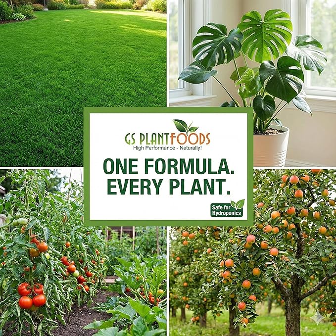 GS Plant Foods Humic Acid Soil Amendment – Leonardite-Derived Liquid Concentrate for Improved Soil Structure & Nutrient Availability – OMRI Listed for Organic Use – 5 Gallons (2 x 2.5 gl containers)