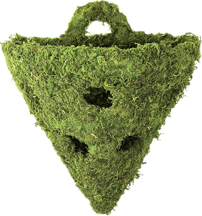 SuperMoss (29396 Mossweave Wall Sconce with Holes, Fresh Green, 10"