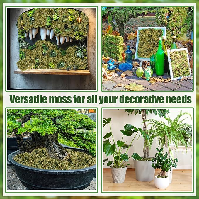 70oz Jumbo Pack Natural Green Moss for Crafts - Bulk Moss for Plants Indoor, Artificial Fairy Gardens, Mosswall, Filling Fake Plants, Floral Design, Home Decoration, Professional DIY Use