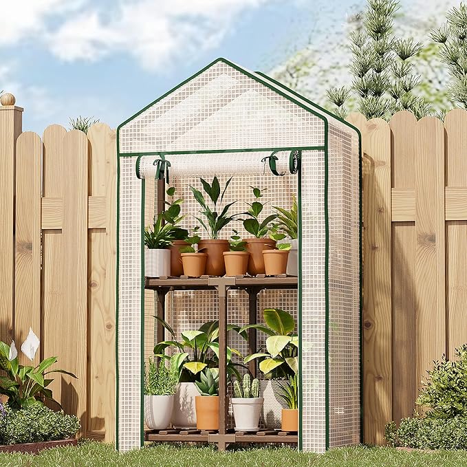 Bamworld Mini Greenhouse Indoor Small Portable 2-Tier Green House for Seed Starting Plant Grow Warmer and Home Gardening Display