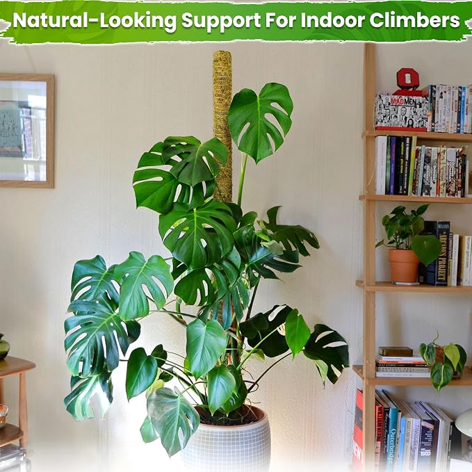 DUSPRO 80 Inches Large Moss Pole for Plants Monstera, Plant Stakes for Indoor Plants, Monstera Plant Support, Plant Support/Plant Pole for Big Climbing Plants Indoor (1pc., 80'')