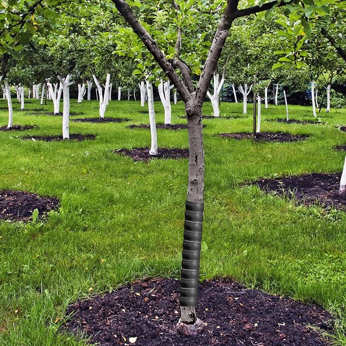 Wesiti 20 Pcs Tree Trunk Protector Plastic Spiral Trunk Tree Wrap Guard Bark Tube Protectors to Protect Bark Saplings from Deer Cats Rodents Rabbit Mowers (Black)