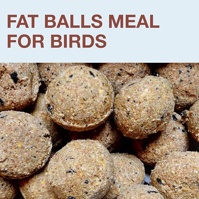 SWISSINNO Bird Feeders - No Mess Fat Ball/Suet Feeder for Outdoors Hanging - Smart Birds Lucerne Spill Proof Wild Cardinal Bird Feeder with Integrated Seed Catcher Tray - Light Blue