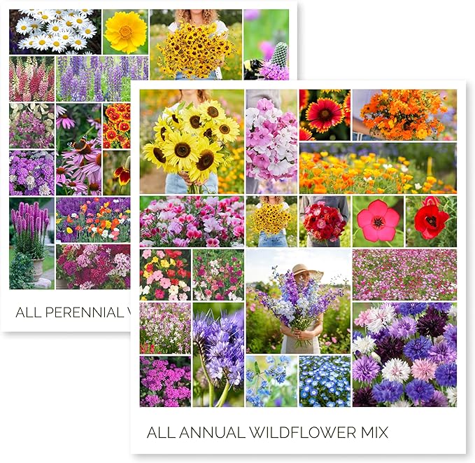 Eden Brothers Annual & Perennial Wildflower Seed Bundle for Planting – 39 Non-GMO, Pollinator Friendly Flower Seed Varieties – Plant in Spring, Zones 3, 4, 5, 6, 7, 8, 9, 10