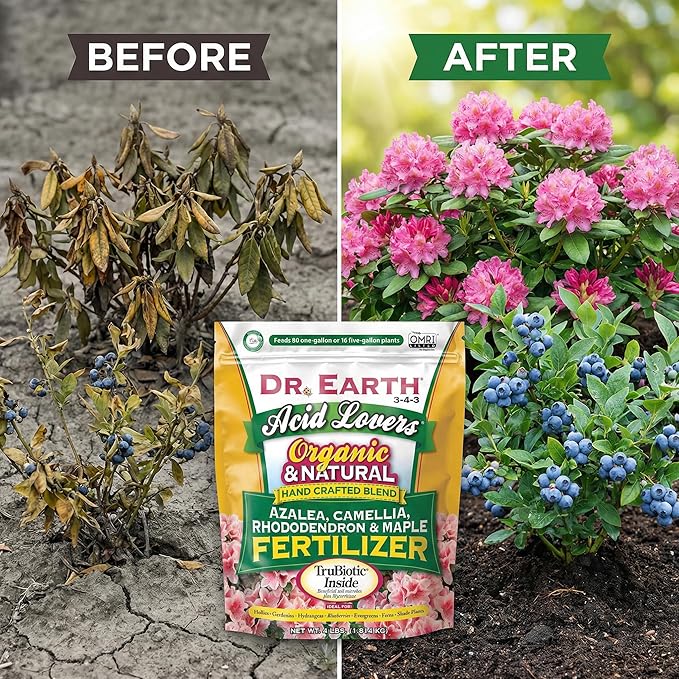 Acid Lovers Organic Granules Plant Food – 4 lb Bags – Azalea and Hydrangea – Gardenia Fertilizer and Japanese Maple for Acidic Soil – 3 Pack