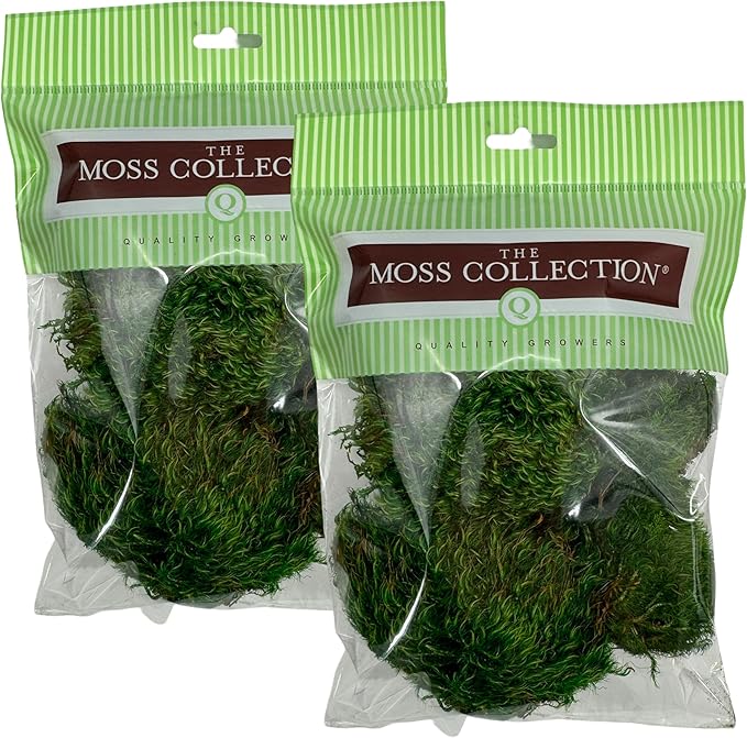 Preserved Mood Moss - Premium Decorative Moss for Crafts, Home Décor, Art, Design & DIY Projects - Real Moss- Non-Toxic - USA-Made- Natural Green, Small 2-Pack