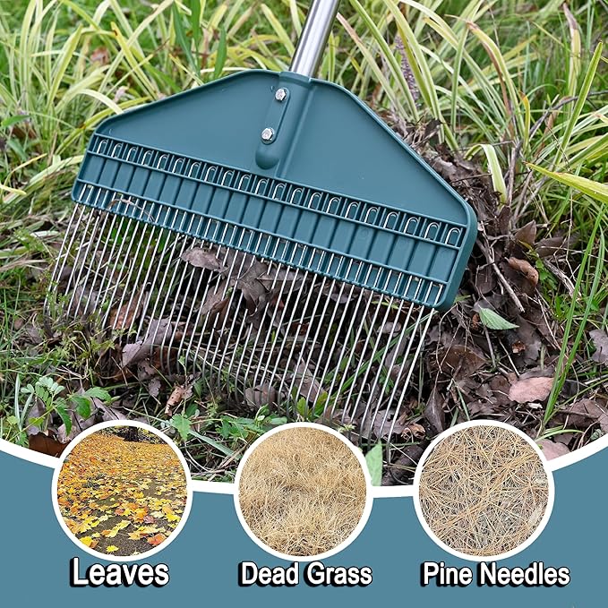 YEELOR Thatch Rake with 66 Inch Adjustable Handle, 17 Inch Wide Durable Dethatcher Rake, Ideal for Garden, Yard and Lawn, Used for Removing Thatch, Pine Needles, Burrs and Acorns